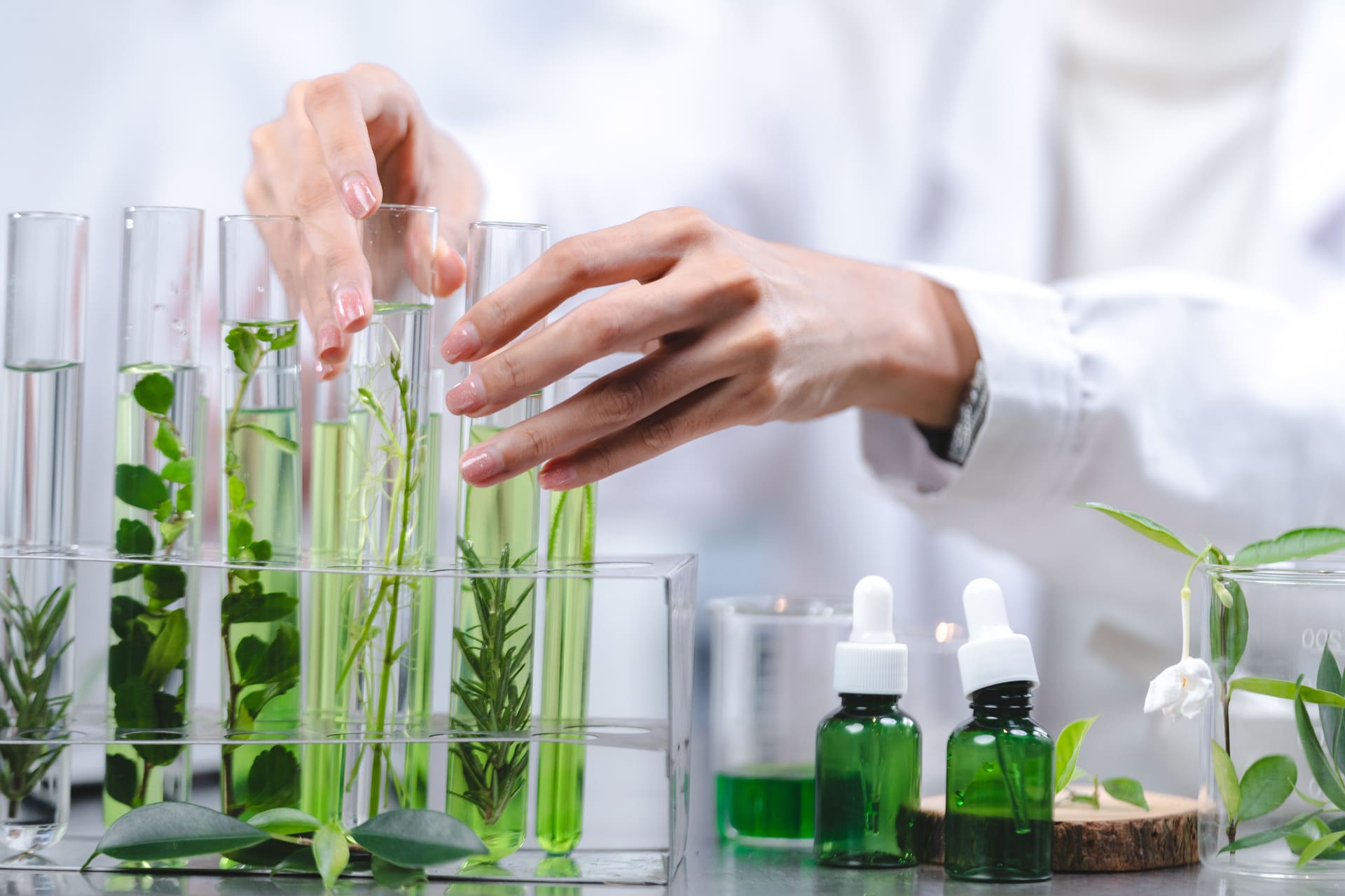 Chimie verte