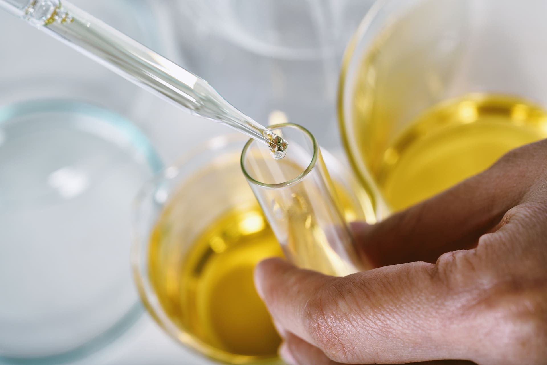 extraction vegetal vegetal extraction